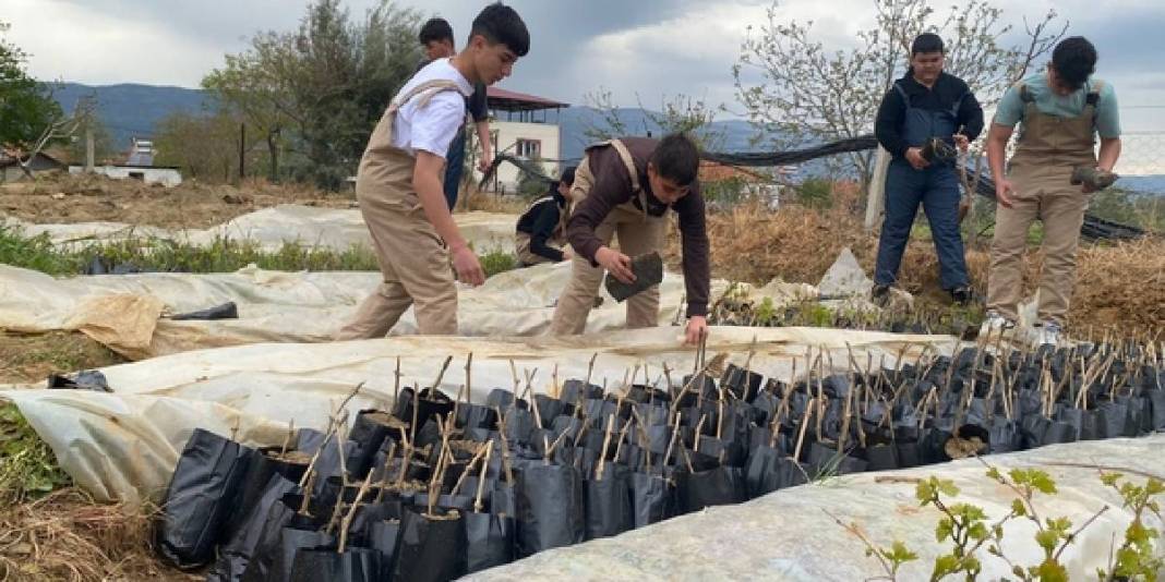 Yok olmaya yüz tutmuştu: Liseliler 5 bin adet yetiştirdi, eğitime de tarıma da katkı sağlandı 1